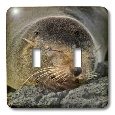 Interruptor doble Galápagos con placa decorativa de doble palanca de plástico 3