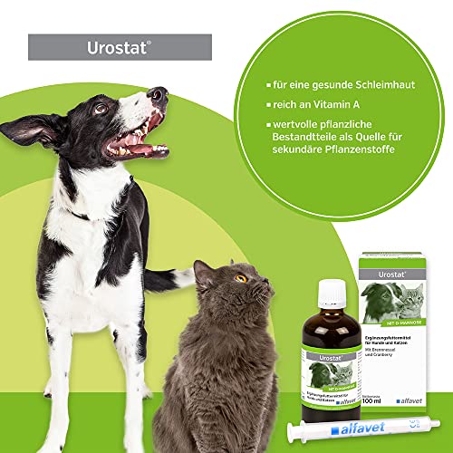 alfavet Urostat Ergänzungsfuttermittel zur Verringerung der Harnsteinbildung für Hund und Katze mit Brennnessel und Goldrute, 100ml, Dosierspritze