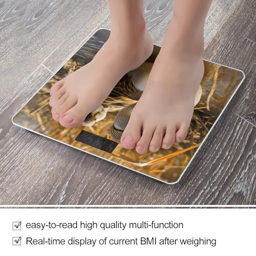 Báscula digital de baño FekiLoot con vidrio templado miniatura 5