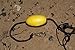 H2o Sand Anchor with Line & Float