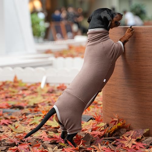Rollkragenpullover für Dackel-Hunde – Warme Winterkleidung für Dackel, Winteroutfit für Teckel (Braun, S)