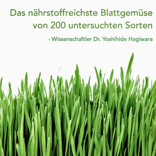 Zumo de Hierba de Cebada Ecológico en Polvo | Barley Grass Juice Powder (400 g) - Imagen 5