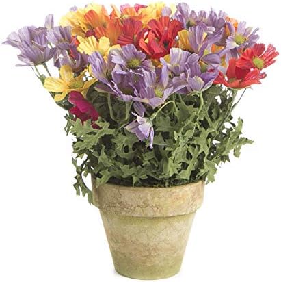 Fábrica directa Craft Colorful Cosmos artificial en Artificial Aged Terra Cotta Bote para el hogar decoración, Manualidades y mostrar