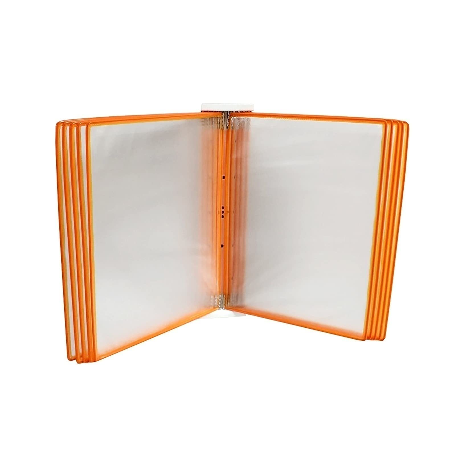 OLSKFUH Wall Mount Reference Display System, Hanging Wall File Organizer, A4 Display Folder -, [ 8.26Inch × 11.69Inch ] 20 Pockets,Folders,