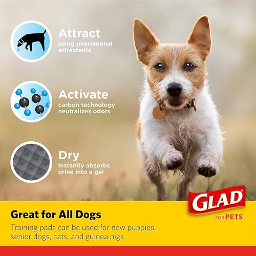 Image of Glad for Pets Black Charcoal Dog Pads - Super Absorbent, Disposable Pee Pads for Puppy Potty Training & Indoor Use - 23 inch x 23 inch - 50 Count - 2 Pack