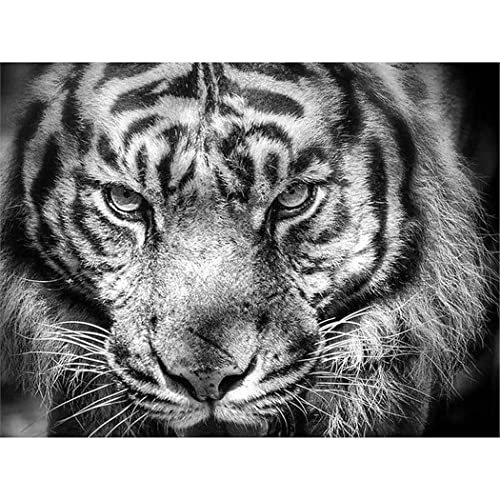 YSCOLOR 5D ダイヤモンドアート塗装キット大人虎フルドリルアート動物刺繍絵画写真ラインストーンクラフト ZSH1973 30x40cm