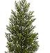 Nearly Natural 3ft. Mini Cedar Pine Tree (Indoor/Outdoor)