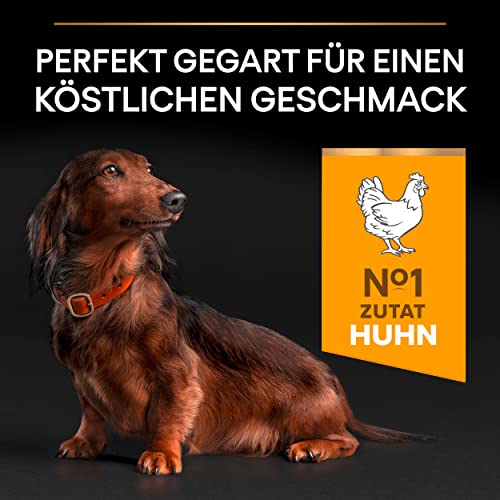 Pro Plan Small und Mini Adult Age Defence 9+, Hundefutter trocken, reich an Huhn, 1er Pack (1 x 3 kg)