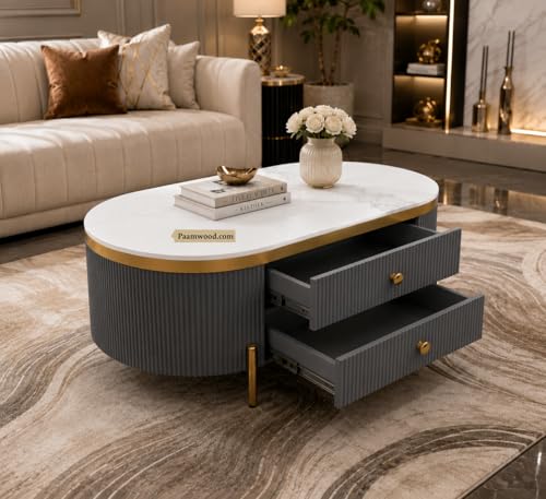 Image of Tesla Centre Table, 42x24x18 Inch, Nano Composite White Marble Top, Gold Accents, 2-Drawer Storage, Oval Design, Waterproof Plywood, PVD Legs, Modern Coffee Table for Living /Entryway