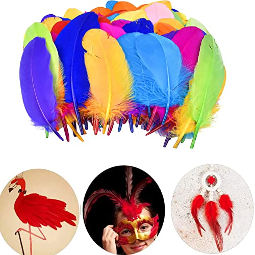 Creny Lot De 10 Plumes D’Autruche De 40 à 45 Cm Pour Décoration D