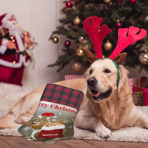 JaoXer Weihnachts-Eichhörnchen-Weihnachtsstrumpf mit Pfotenabdrücken – doppelseitig bedruckt für festliche Dekoration – einzigartige Familienurlaubskamindekoration