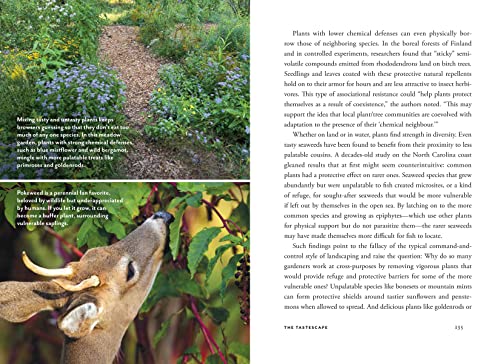 Wildscape: Trilling Chipmunks, Beckoning Blooms, Salty Butterflies, and other Sensory Wonders of Nature (-) - Image 9