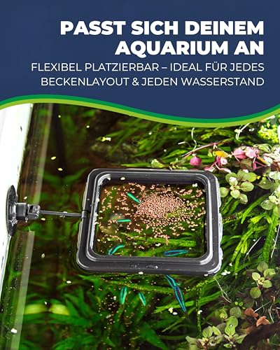 HOBBY Aquaristik Feeding Station 2 I 10 x 10 cm I Futterring für Aquarien I Futterstation für Trocken- und Lebendfutter I für gezielte und saubere Fisch Fütterung I Aquarium Zubehör