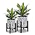 Plant Pots with Stand 2pcs - Indoor Plant Stand with Pot, Planter with Holder, Indoor Outdoor Flower Pots with Drainage Holes