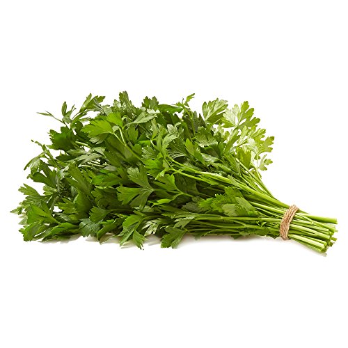 Natures Reward Italian Parsley, 1 EA