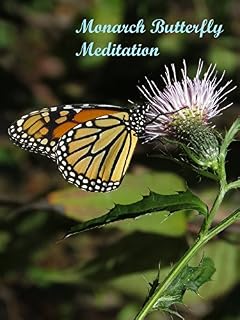 Monarch Butterfly Meditation