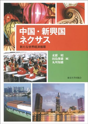 中国・新興国ネクサス 新たな世界経済循環