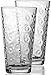 Circleware Parade Drinking Glasses, Set of 4, 17 oz., Clear