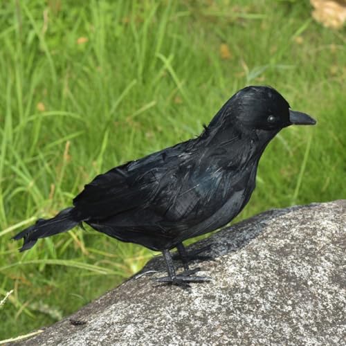 Corbeaux d'Halloween : pack de 12 oiseaux pour décor effrayant - 8