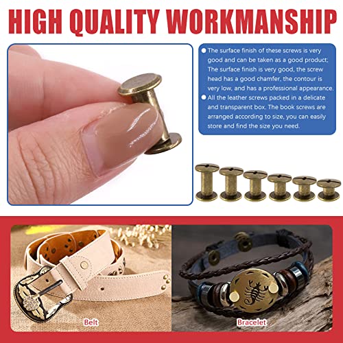 Hilitchi 110 Sets Bronze Chicago Schrauben Knöpfe Flachkopfschrauben Ledernieten Karbonstahl runde Bindeschrauben Nieten Nagelniete Ledernieten Nieten mit Installationswerkzeug (M5 x 4,5,6,8,10,12)