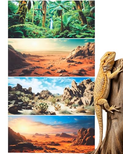 Image of Breling 4 Pcs 36 x 18 Inch Reptile Habitat Background with Nano Glue Gobi Sun Cactus Stone and Green Tree Fern Stream Bearded Dragon Terrarium Background Polyester Durable Aquarium Accessories