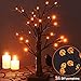 Twinkle Star 24 LED Lighted Halloween Tree, Battery Operated Birch Tree with 24 DIY Pumpkins, Indoor Home Table Desktop Best Halloween Decorations Gift Package