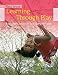 Learning Through Play: For Babies, Toddlers and Young Children