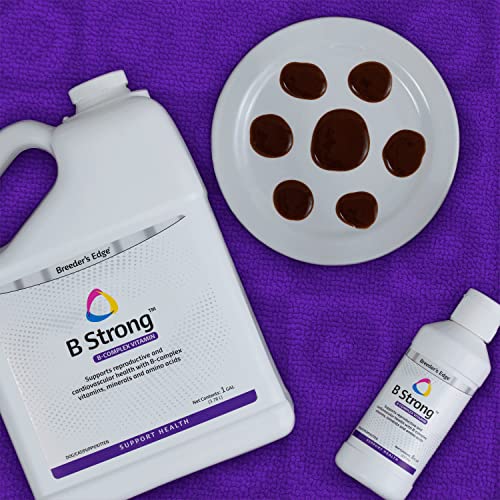 Revival Animal Health Breeder’s Edge – B Strong – B Vitamin, Iron and Mineral Supplement – Vitamin B for Dogs, Cats, Puppies & Kittens – 8 oz Liquid Revival Animal Health Breeder’s Edge – B Strong – B Vitamin, Iron and Mineral Supplement – Vitamin B for Dogs, Cats, Puppies & Kittens – 8 oz Liquid