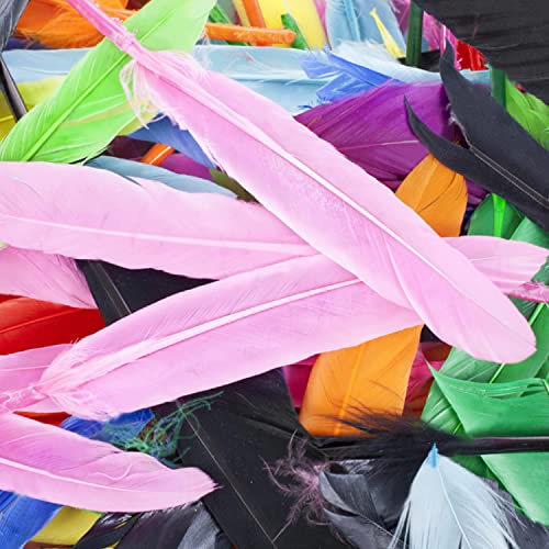 200 Pieces Colorful Natural Goose Feathers For Crafts, Diy, Weddings, And Parties (4-6 Inches) #TOP4