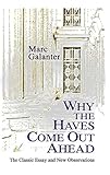 Why the Haves Come Out Ahead: The Classic Essay and New Observations