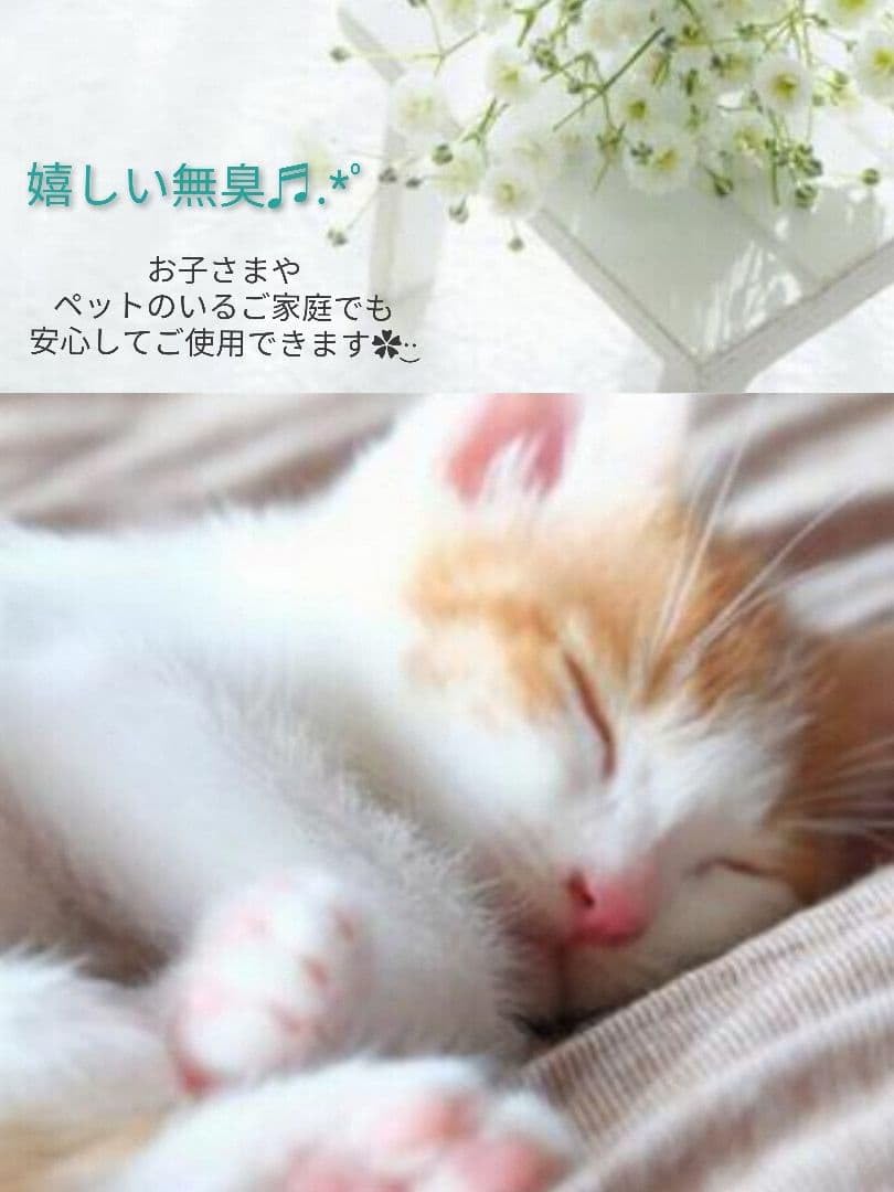Amazon | レジン液 無臭＆永久クリアツキハナ100g1本、在庫処分価格