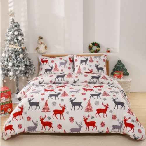 HOTGEEJP NX}XNCu _E|zc3_Zbg H~p ɍ׃}CNt@Co[ zM  ÓdCh~ cJѕz/Hѕz RۖhL 􂦂  ỉԕp (X̎,|zcJo[230×230cm×1 - Jo[5