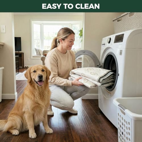 Image of FXW Rollick Dog Playpen with Washable Pee Pad, 40 inchH, 8 Panels