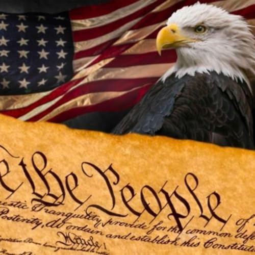 『Freedom For All Ltd』のカバーアート