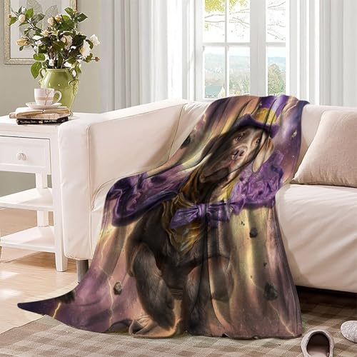 Couverture polaire Labrador en flanelle microfibre 100x130 cm - 4