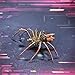 Mechanical Insect Bug Spider Sculpture, Metal Model Kits, Adult Hobby Kits for Men,Arts & Crafts,DIY Projects Metal Building Mens Birthday Gift, Fun (Mechanical Spider C)