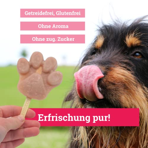 BeG Buddy EIS für Hunde [ohne Zuckerzusatz] als Snack, Hundeeis Selbermachen, Abkühlung Hund, Dog Ice [100% natürlich], Hundeleckerli mit gesunder Erdbeere & Kokos