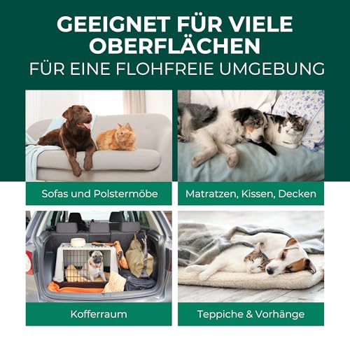 Silberkraft Flohspray für Umgebung 500ml, effektives Flohmittel gegen Flöhe, Zecken- und Milben, Flohspray für Wohnung und Möbel, ideal für Textilien, Hundebetten, Teppiche & Polster
