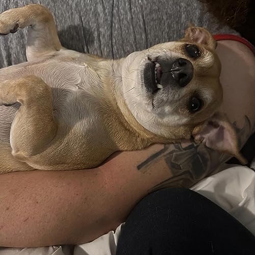 A.I.T.A. Warning: Curse words ahead!!!