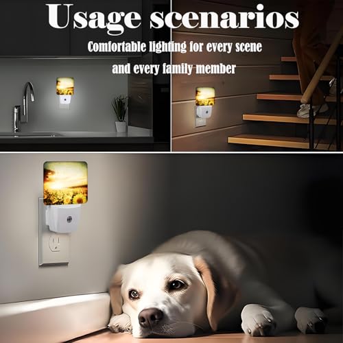 Image of Sunflower Field at Sunset Night Light,Plug Into Wall Decor for Stairway,Hallway,Kitchen,Dusk to Dawn Sensor Nightlights for Boys /Girls /Women /Men Room Gifts