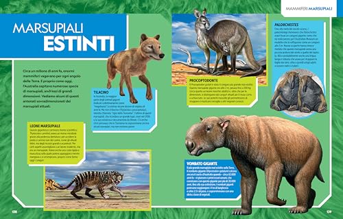 La Grande Enciclopedia Dei Mammiferi. Il Più Completo Manuale Sui Mammiferi Mai Realizzato. Ediz. A Colori - 12