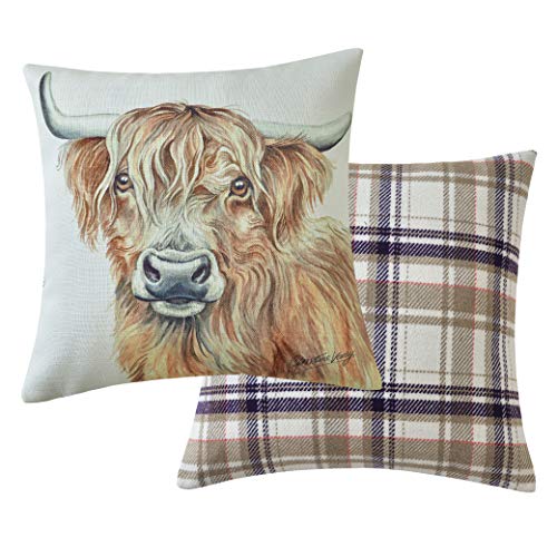 Viceni Highland Koe Gevuld Dierenkussen-43 x 43cm/17 x 17-inch, Meerkleurig, 43 x 43cm