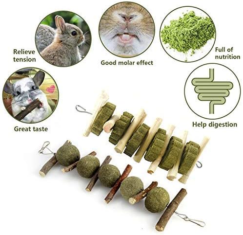 SHINROAD 2Pcs/Set Bunny Tooth Chew Toys - Image 4