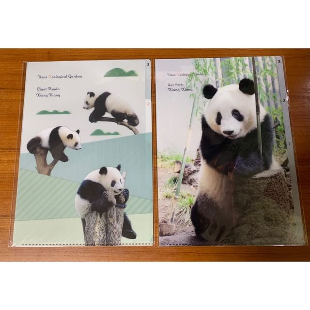 Amazon.co.jp: シャンシャン クリアファイル セット 上野動物園
