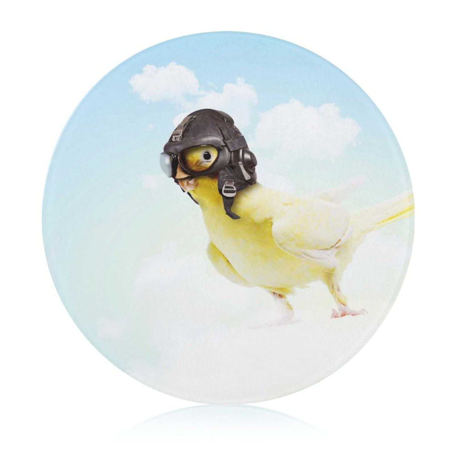 Plaque de cuisine en verre trempé 20 cm Poussin antidérapante