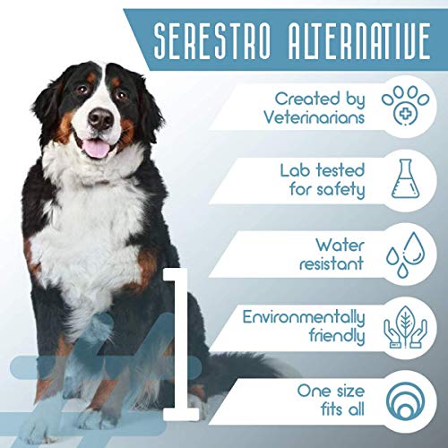 Flea and Tick Prevention for Dogs - Flea Collar - Image 4