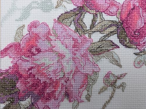 Image of Aine - Peonies. Whisper A1010, Cross Stitch Kits 7 inchx6 inch, Cross Stitch Kits for Beginners & Advanced, Crossstitching Kits Adult, Counted Cross Stitch Kits for Adults, Flowers Embroidery Kit