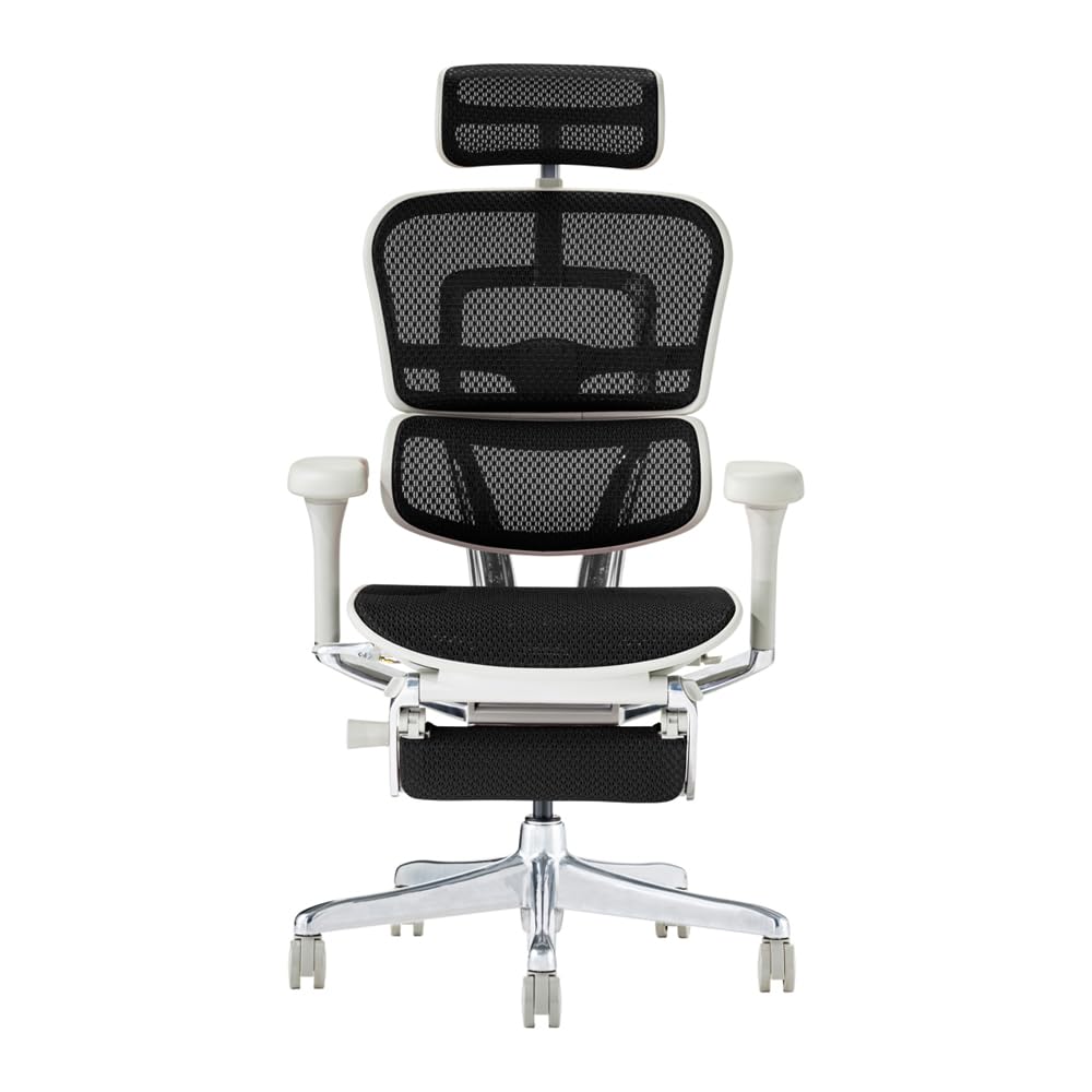 Ergohuman Pro 2 Ottoman Built-in High EHP2-LPL (Gray Frame/Black 