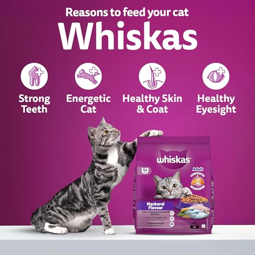 Image of Whiskas Adult (1+ Years) Dry Cat Food, Mackerel Flavour, 1.2 kg, Contains 41 Essential Nutrients, Complete & Balanced Nutrition for Adult Cats