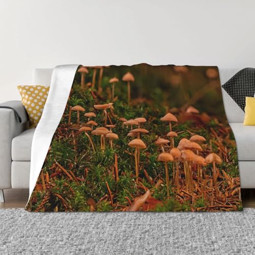 Couverture légère champignons pour vos soirées cocooning sur le canapé - 4